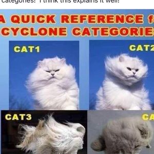 Florida weather!  For JG